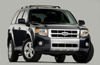 2008 Ford Escape Limited Picture
